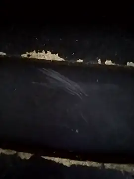 Snapshot of Lady_Lolla11 chatting on January 18, 2026, 6:12 pm Lady Lolla11 online show from January 18, 2026, 6:12 pm