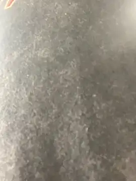 anthonyroth online show from November 6, 2025, 8:54 pm