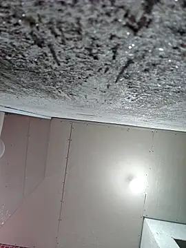 membro destruidor online show from March 31, 2026, 5:13 pm