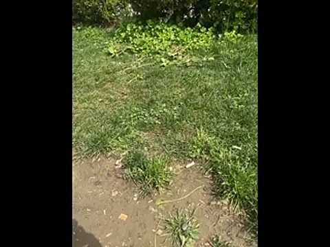 giyasbvnghkgkfk online show from April 3, 2026, 10:35 am