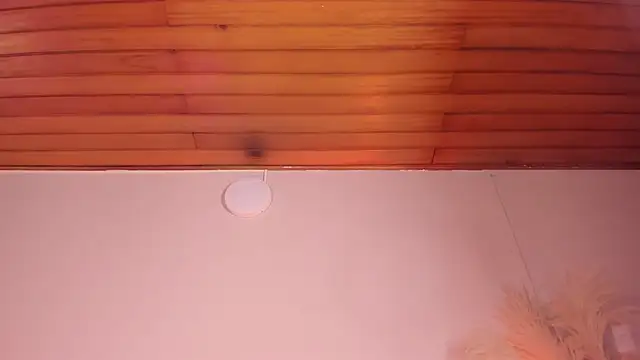 Snapshot of viol_collins__ chatting on March 22, 2025, 12:14 pm viol collins online show from March 22, 2025, 12:14 pm