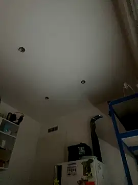 toyroma online show from November 26, 2025, 9:10 am