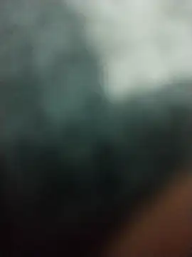 Elonmo online show from March 6, 2026, 12:45 pm