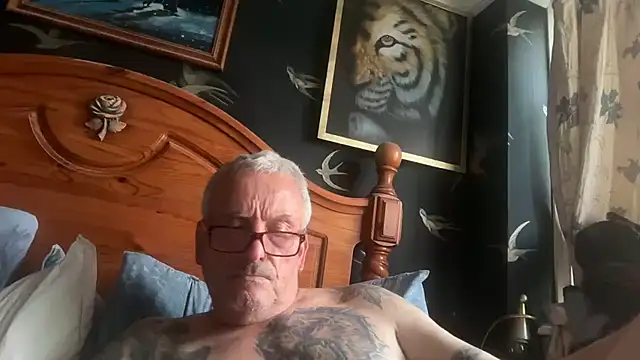 poggles online show from July 17, 2026, 7:41 pm