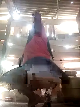 srtsara online show from April 2, 2026, 10:46 am