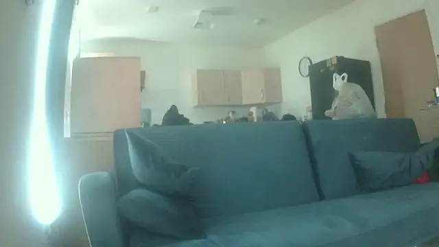 avamaxwell online show from April 28, 2026, 11:26 am