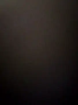 boosypussy online show from November 14, 2025, 10:51 pm