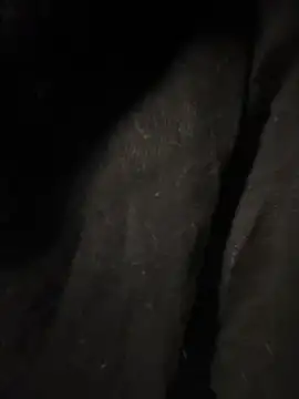 pikuslordpll online show from December 23, 2025, 8:12 am