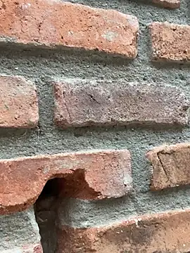 Jacksonfranco online show from February 11, 2026, 10:59 pm