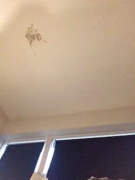 Snapshot of Sissy_Cindy_Whore chatting on November 9, 2025, 2:04 pm Sissy Cindy Whore online show from November 9, 2025, 2:04 pm