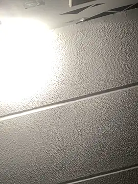 malek xarx  online show from September 11, 2025, 3:17 am