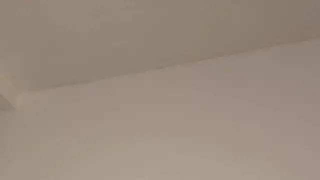 Aleecandrews online show from November 24, 2025, 7:35 pm