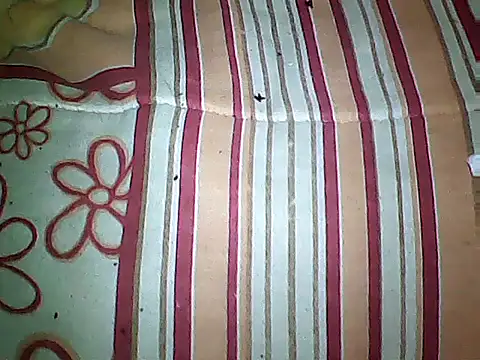 Snapshot of 20cmloiro chatting on September 16, 2025, 3:51 am 20cmloiro online show from September 16, 2025, 3:51 am