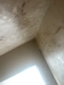 Noa Todokoro online show from October 16, 2025, 3:02 pm