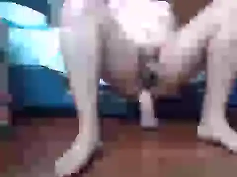 Snapshot of Culazodeantonellarocuzzo chatting on September 15, 2025, 3:34 pm Culazodeantonellarocuzzo online show from September 15, 2025, 3:34 pm