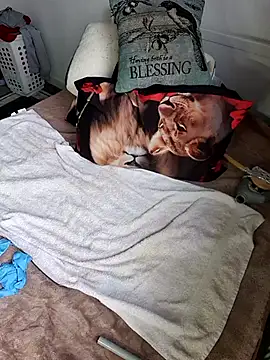 Snapshot of Wilsonn86 chatting on February 9, 2026, 8:29 am Wilsonn86 online show from February 9, 2026, 8:29 am