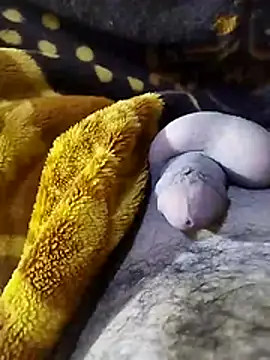 ADAM50001 online show from April 2, 2026, 2:42 am