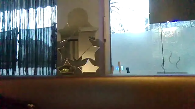 ARTANIS20 online show from February 1, 2026, 6:56 am