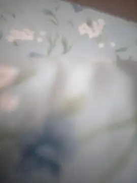 Tuyo12casa online show from November 11, 2025, 8:20 pm