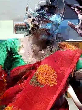 papukurty online show from November 7, 2025, 2:06 pm