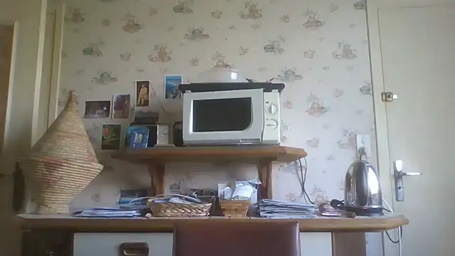 Snapshot of gegevincent chatting on April 15, 2026, 11:28 am gegevincent online show from April 15, 2026, 11:28 am