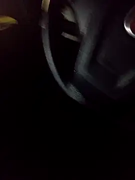 pauzudao 12 online show from March 4, 2026, 10:49 pm