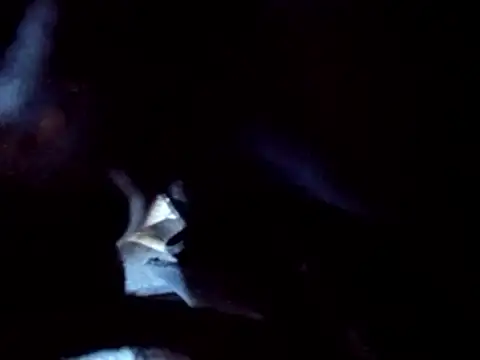 PENTHOUSECEOCLUBHOUSEPRES online show from November 25, 2025, 6:41 pm