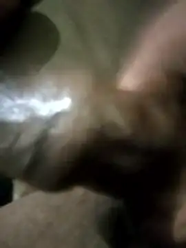 Curvy Pounder online show from April 2, 2026, 11:57 pm