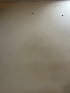 Cute-Sakhi online show from December 17, 2025, 2:45 pm