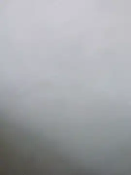 Snapshot of Saikishore00000 chatting on February 3, 2026, 11:59 am Saikishore00000 online show from February 3, 2026, 11:59 am