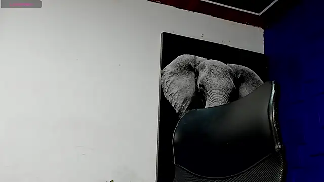 king falconer online show from November 17, 2025, 1:44 am