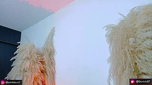 JulietaDavis online show from April 20, 2026, 9:34 am