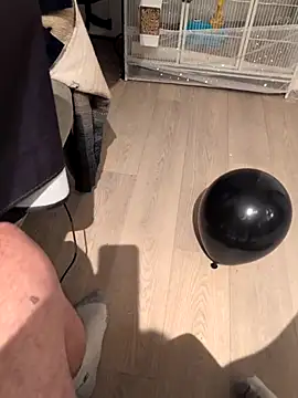 Bimalehung online show from November 2, 2025, 1:41 am