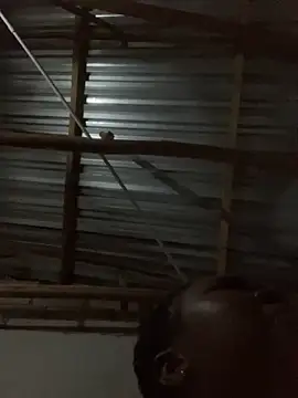 ChubbyAssyiyer online show from September 12, 2025, 10:32 pm