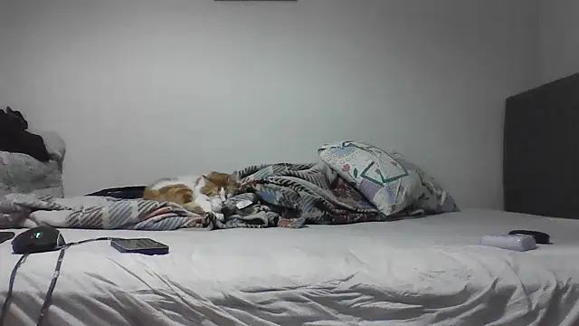 kocasosisli online show from May 30, 2026, 5:43 pm