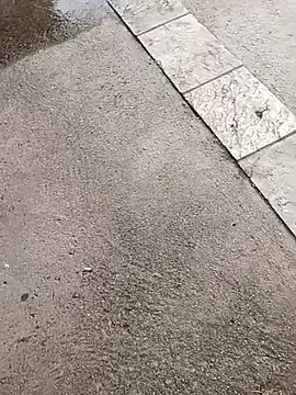 jvdzj-0  online show from October 19, 2025, 3:34 pm