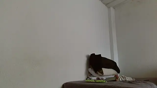 Snapshot of isabel_24_gil chatting on November 13, 2025, 4:50 pm isabel 24 gil online show from November 13, 2025, 4:50 pm