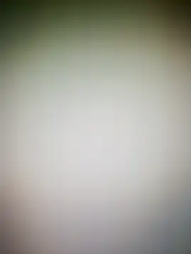 guridosul051 online show from March 17, 2026, 12:19 pm