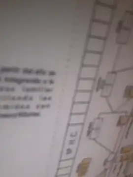 bocadepecado online show from September 30, 2025, 8:25 pm