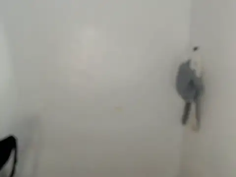 ynotyu online show from March 29, 2026, 5:18 am