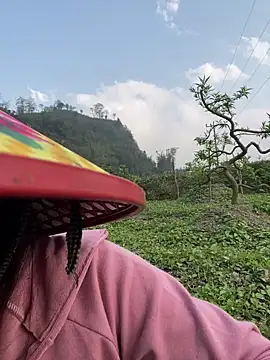 isaaa5 online show from March 24, 2026, 9:47 am