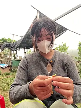 isaaa5 online show from April 17, 2026, 10:18 am