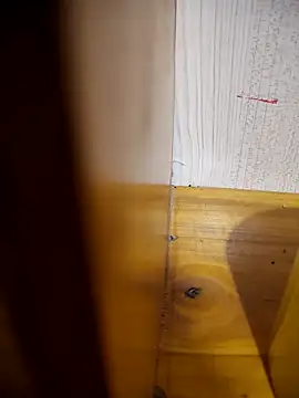 daisylouis online show from April 21, 2026, 1:07 am