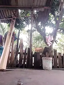 Snapshot of BigBoobs186 chatting on October 23, 2025, 10:52 pm BigBoobs186 online show from October 23, 2025, 10:52 pm