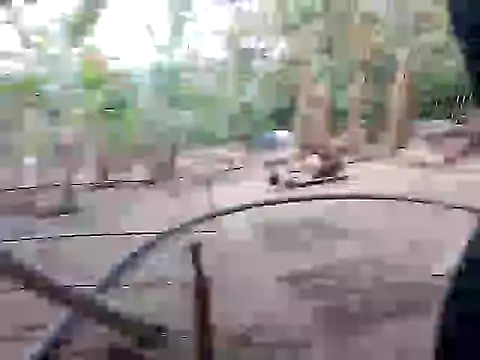 Snapshot of BigBoobs186 chatting on November 10, 2025, 10:03 am BigBoobs186 online show from November 10, 2025, 10:03 am