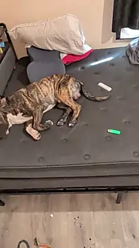 Snapshot of Cnutt310 chatting on March 2, 2026, 12:02 am Cnutt310 online show from March 2, 2026, 12:02 am