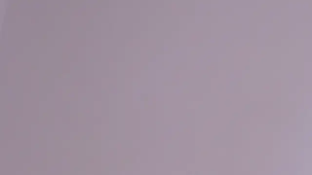 axel davis  online show from February 24, 2026, 3:54 pm