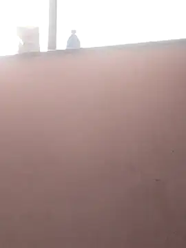 sneha bebo online show from March 3, 2026, 9:26 am