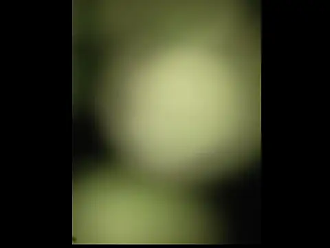 Snapshot of sobit1234 chatting on October 18, 2025, 6:52 pm sobit1234 online show from October 18, 2025, 6:52 pm