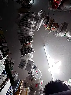 icpetlsjrukgwaykjrw 25 online show from October 29, 2025, 11:28 pm